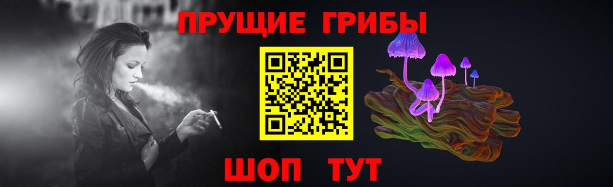 Псилоцибиновые грибы прущие грибы  Вход с VPN  Малгобек 